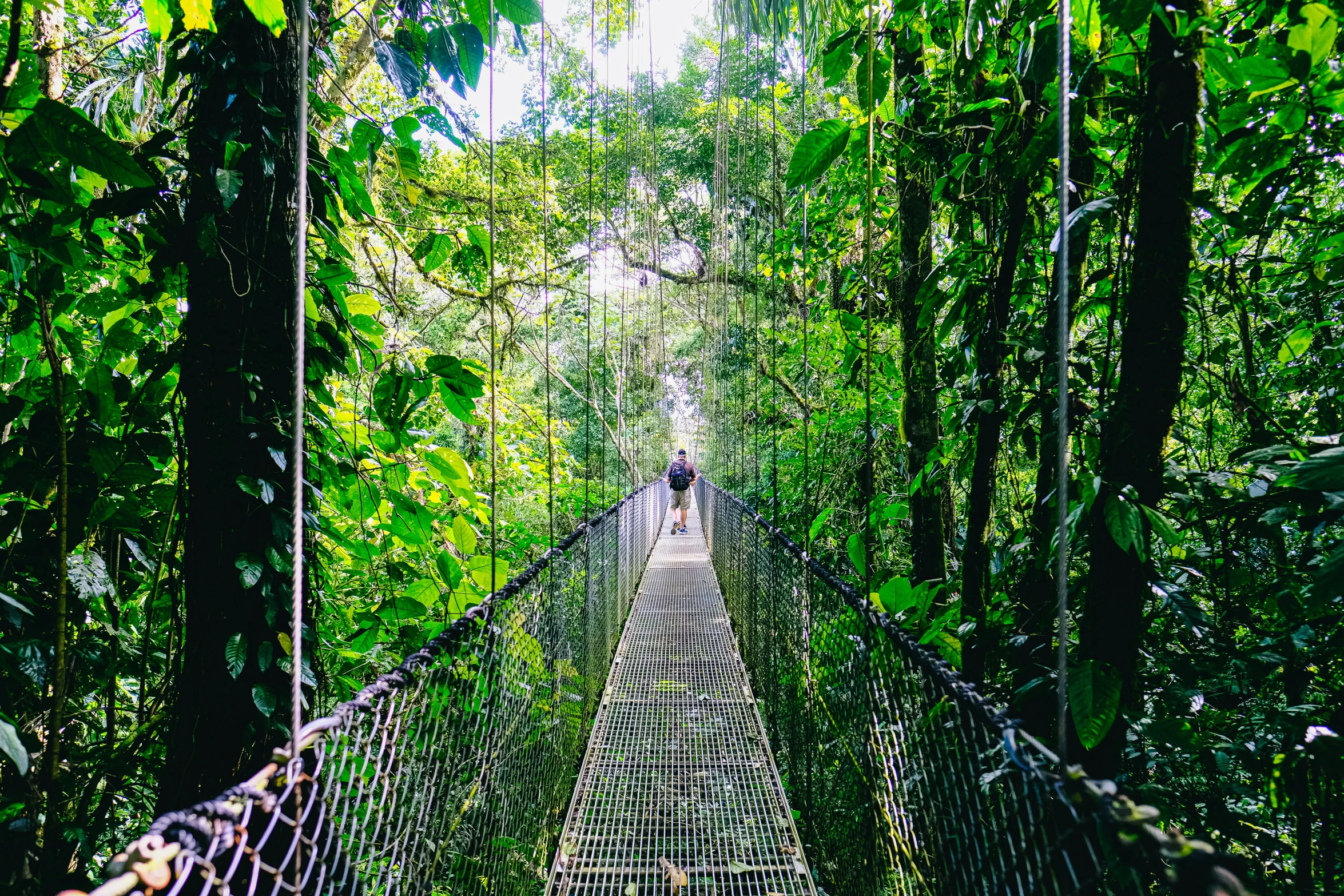 man standing on the rope bridge in the jungle