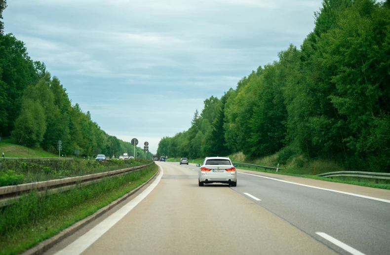 cars driving down a country road between trees