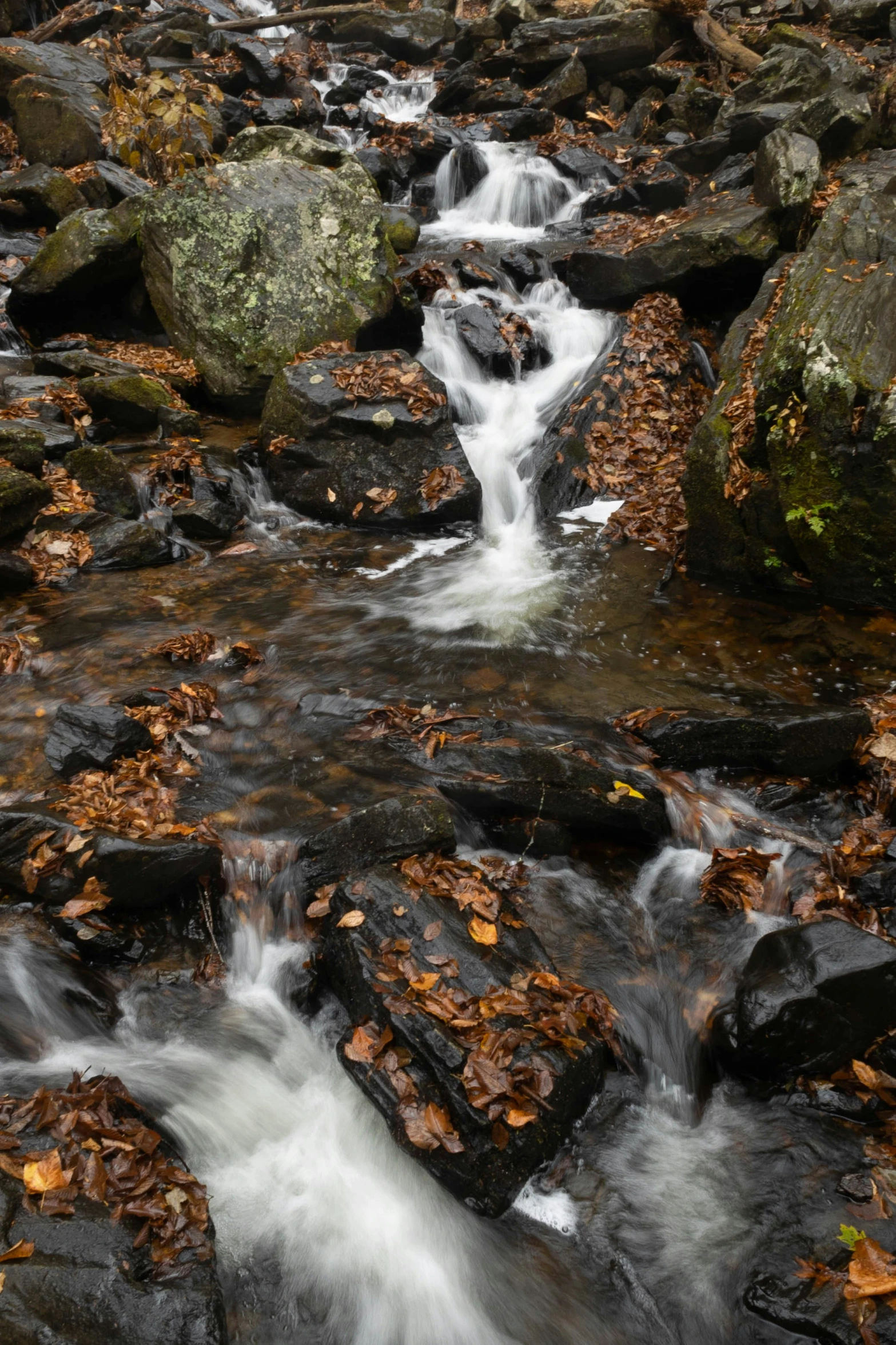 a stream flowing over a pile of large rocks