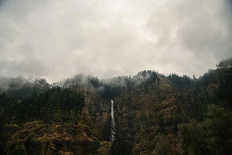 a waterfall near the edge of a forest with trees on both sides