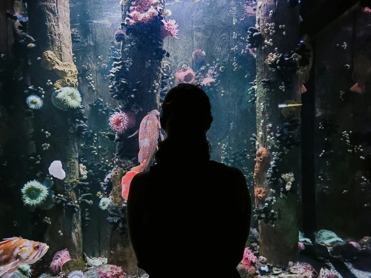 a woman is looking at a large fish tank