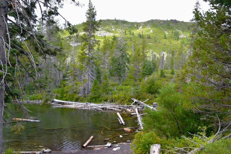 a small river in the middle of a mountain