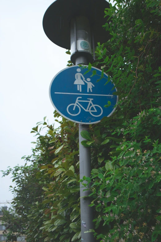 a blue bike sign hanging from a traffic light pole