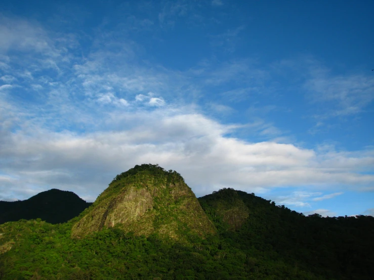 the peak is made up of grass and has a bird perched on it