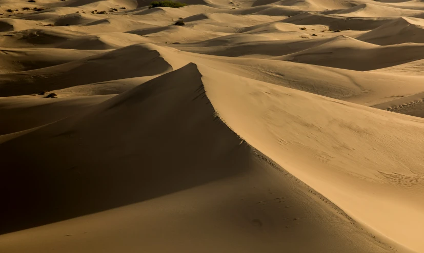 a view of the desert with a few footprints on it