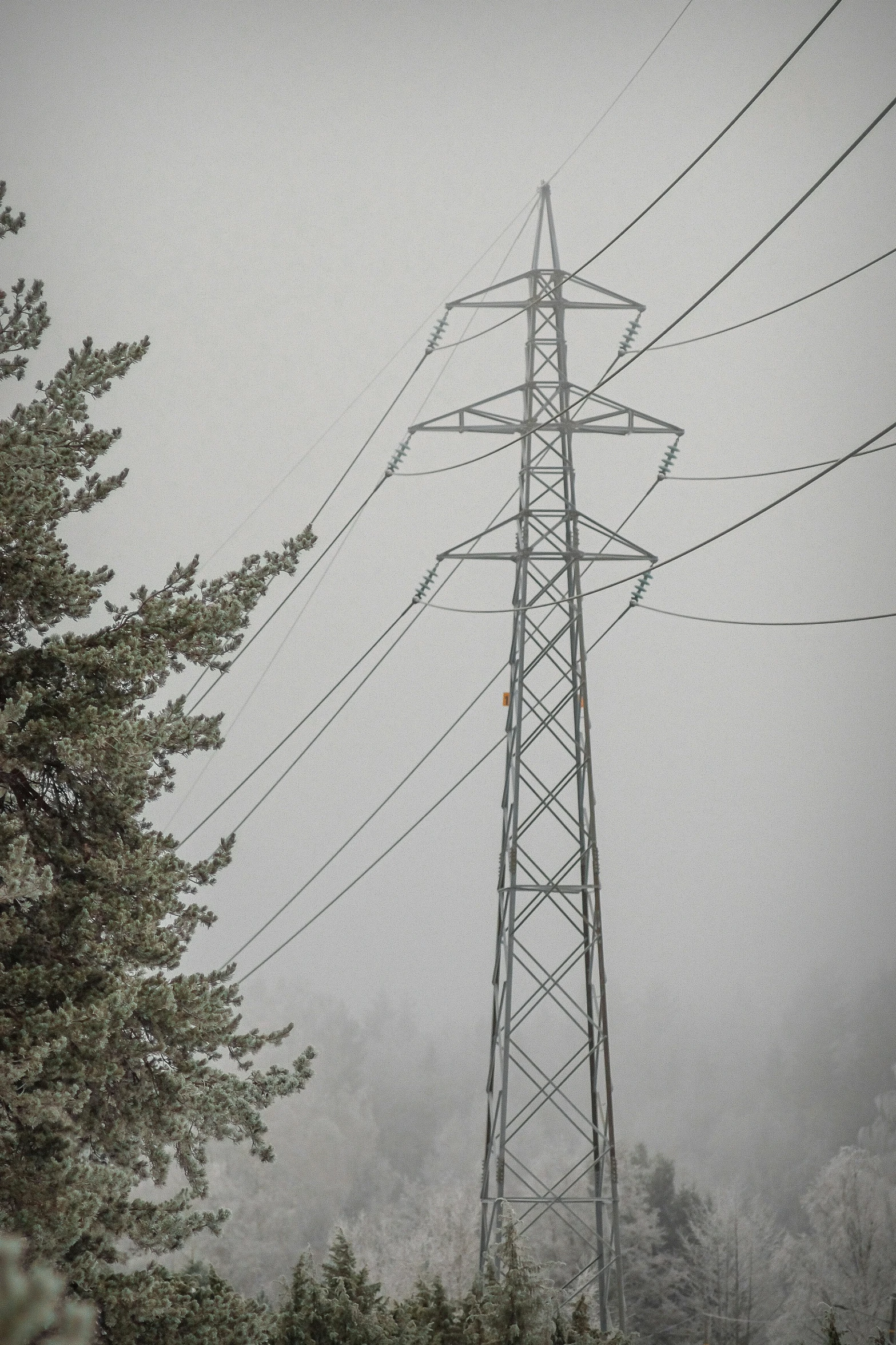 an old and worn telephone pole sits under a large snowy sky