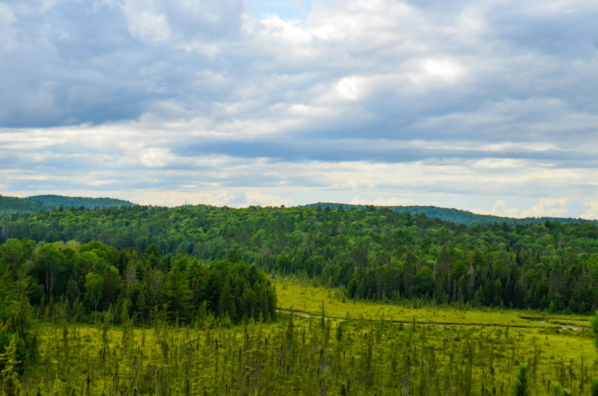 an open field with some trees and mountain in the background