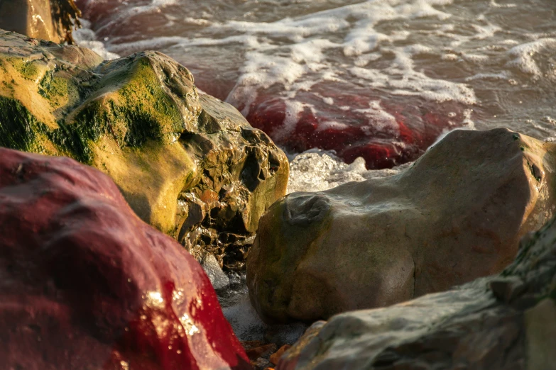 some rocks that are in the water and some dirt