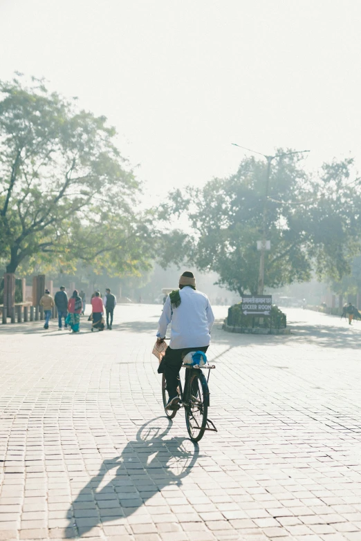 man on a bicycle driving in the sunlight