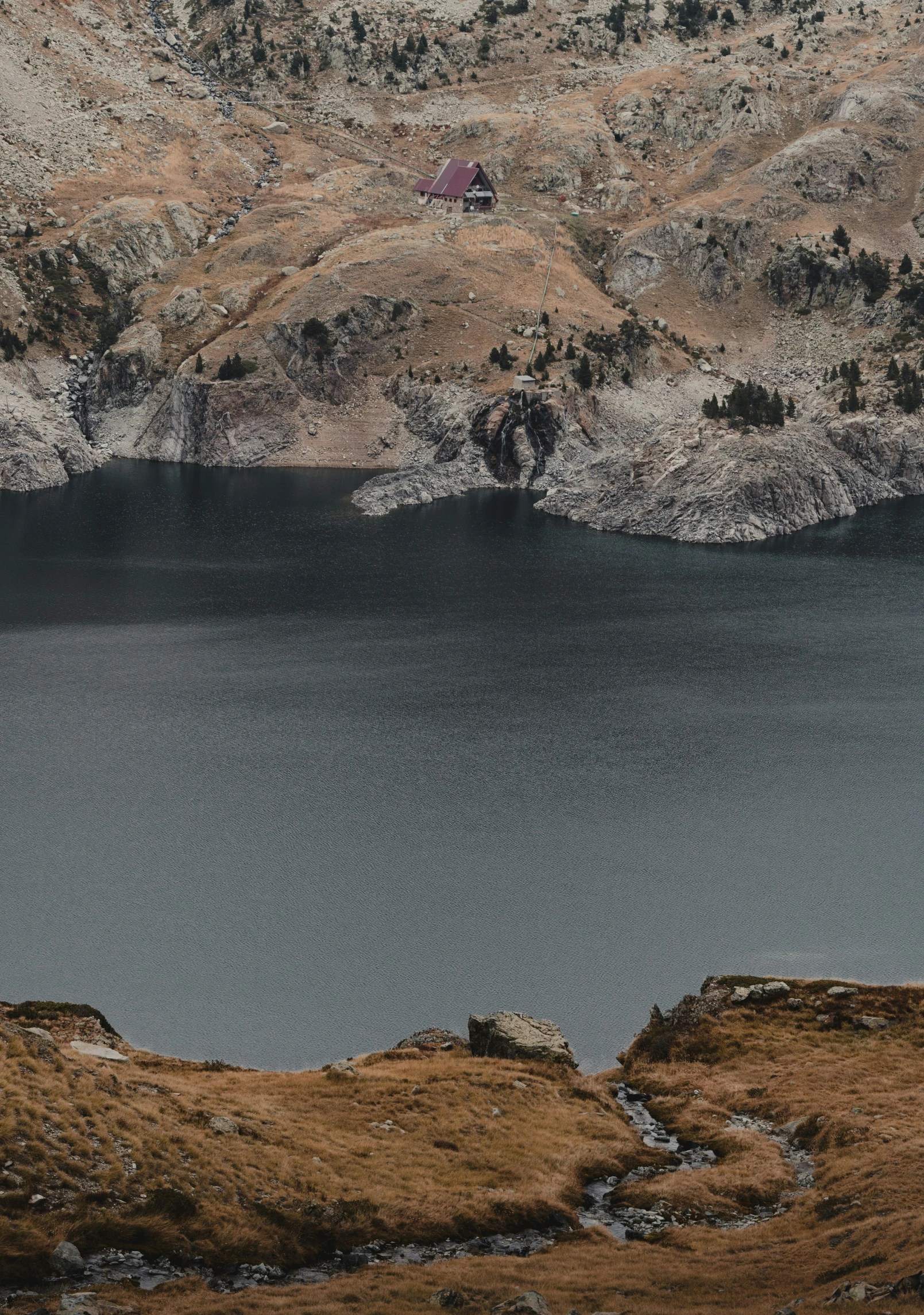 a bird flies over the waters in the mountains