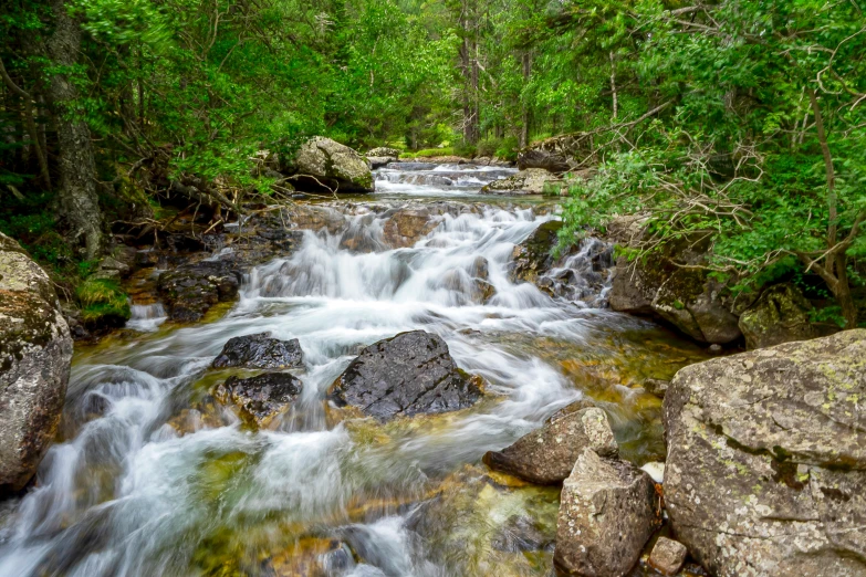 some rocks and water moving and trees