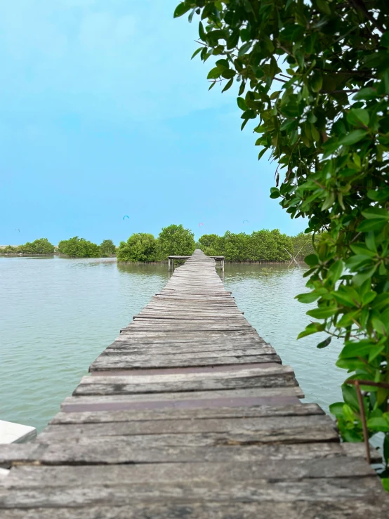 the old wooden dock is built to hold the water