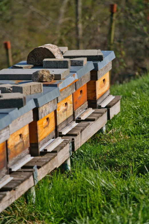 some wood hive boxes are lined up in a row