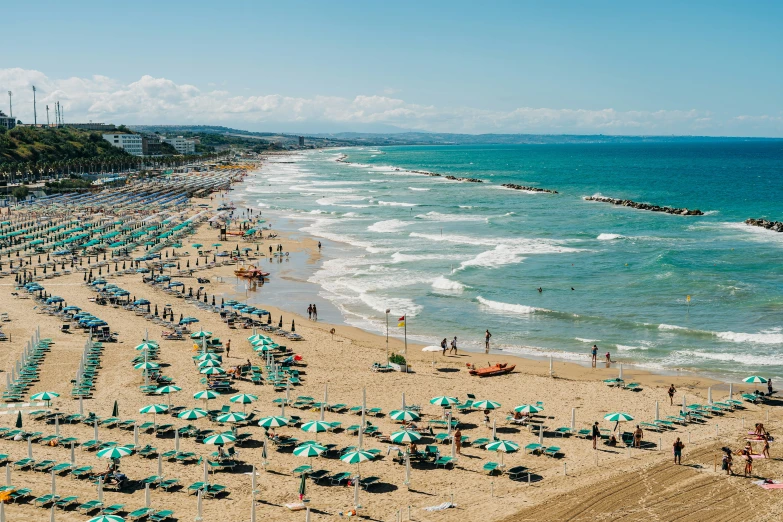 a large group of people standing on a beach