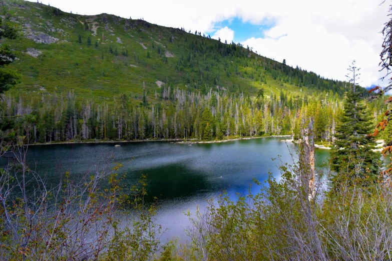 a lake that is surrounded by lots of trees