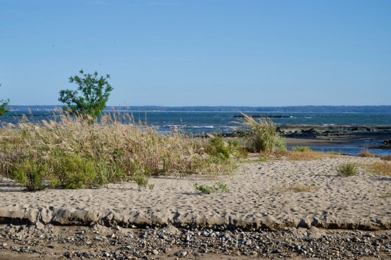 a bench is sitting on the beach and grass