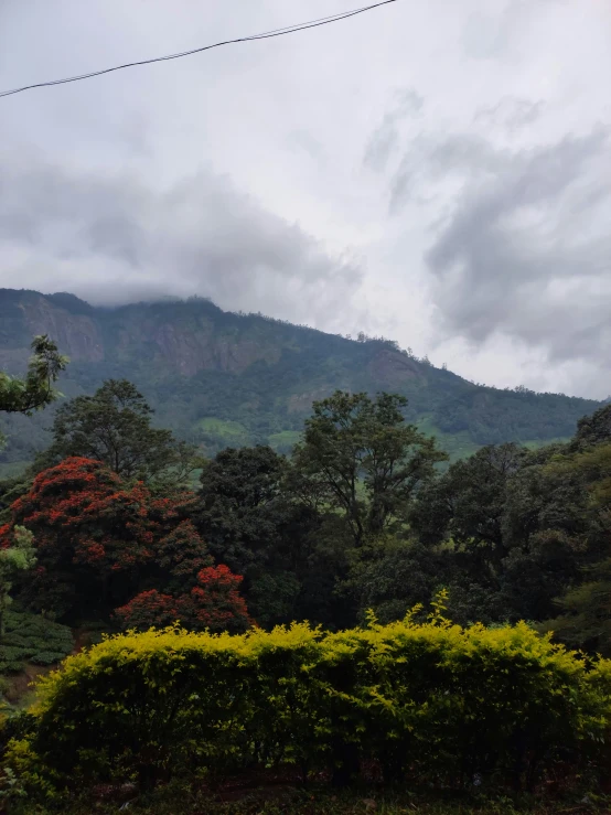 a large mountain is covered with thick clouds and a few trees