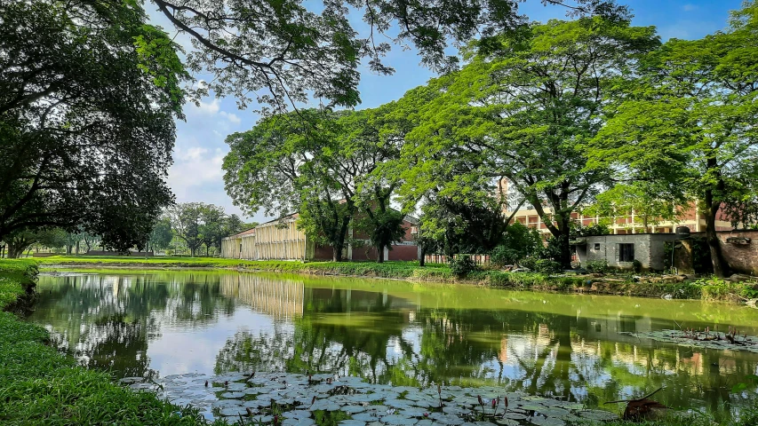 a stream runs through an urban park near a house