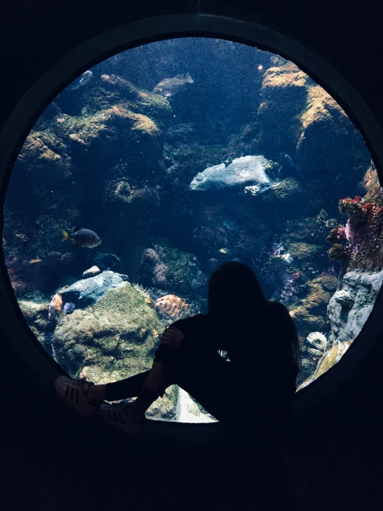 someone in silhouette sitting with their feet on a ledge looking into an aquarium