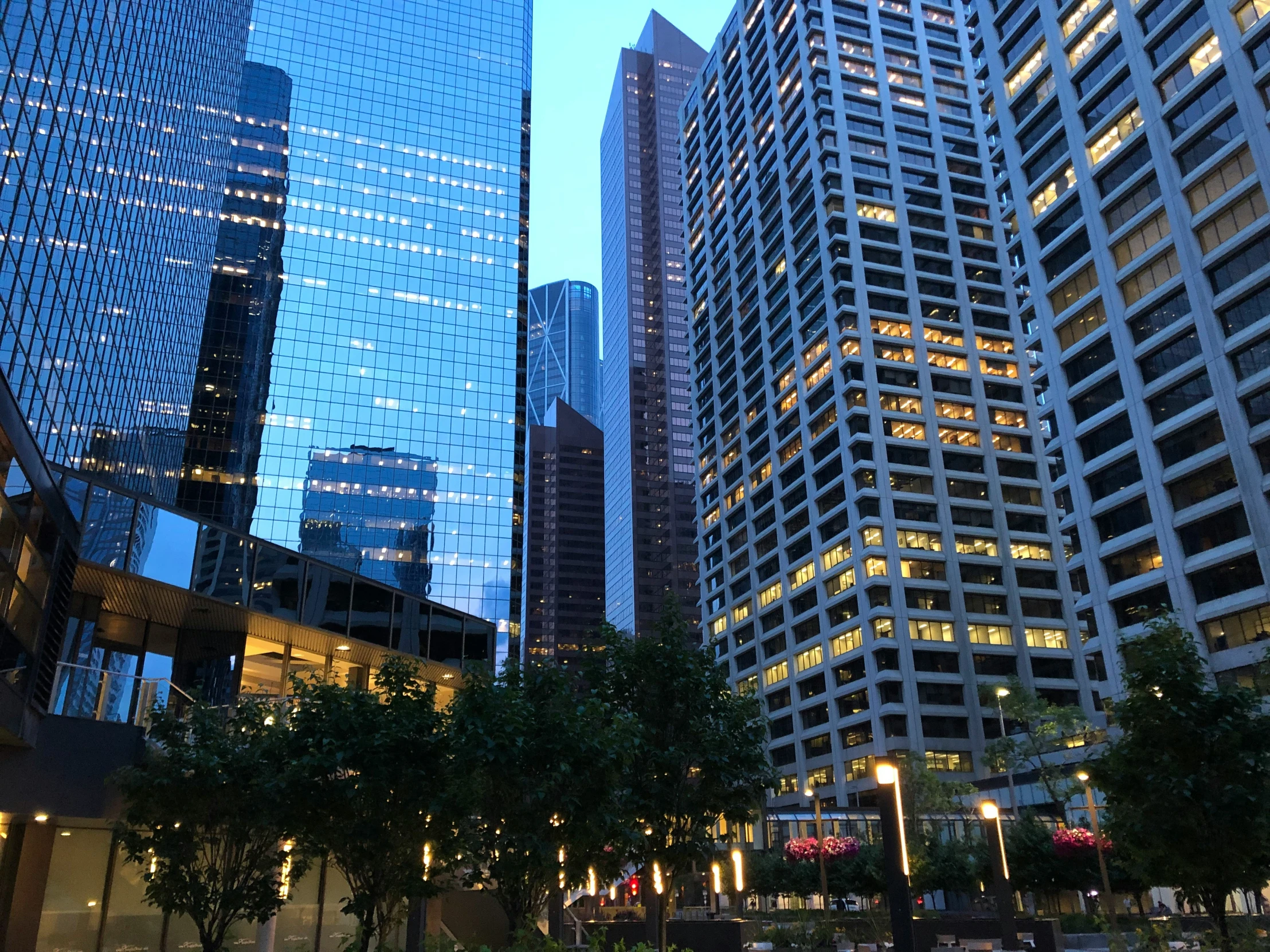 skyscrs with their lights on and some trees in the foreground