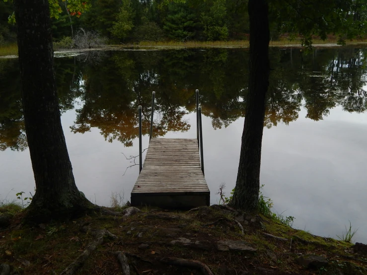 a dock is next to some water and trees