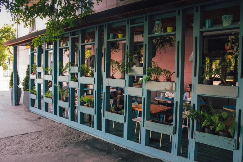 a row of windows filled with plants and potted plants