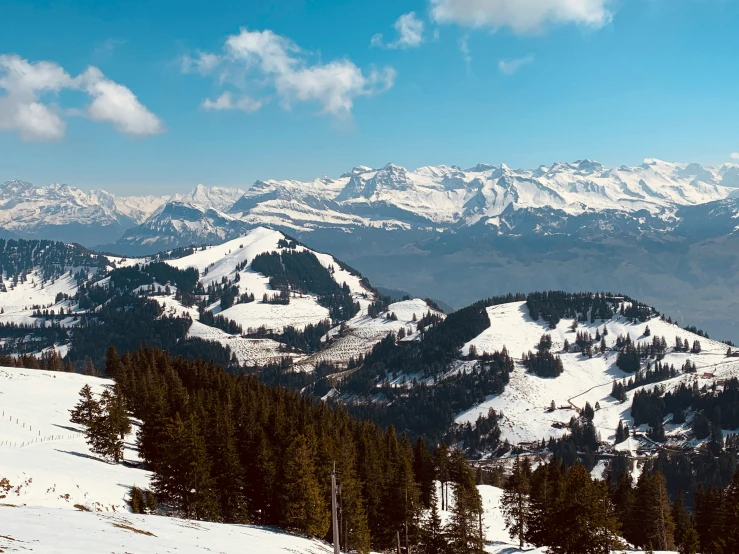 snow covered mountains with pine trees in the foreground