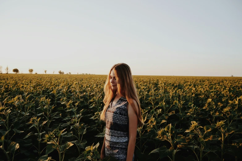 the woman is posing in front of some tall sunflowers