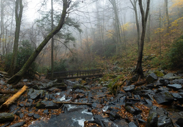 a view of a creek, wood bridge and fall foliage