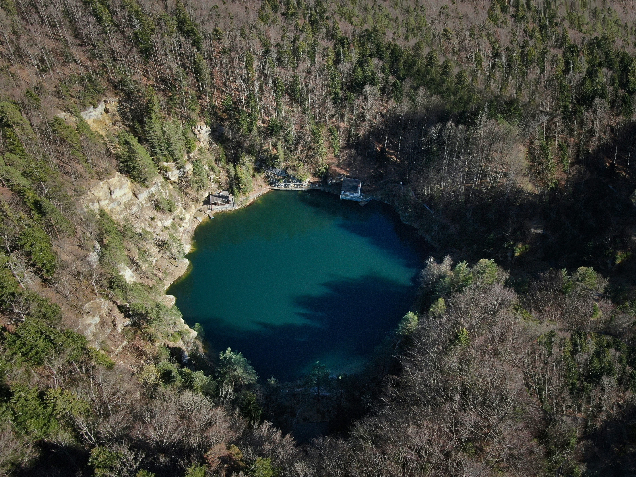 a green lake surrounded by trees in the woods