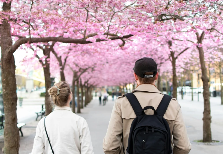 two people walking down the sidewalk under cherry trees