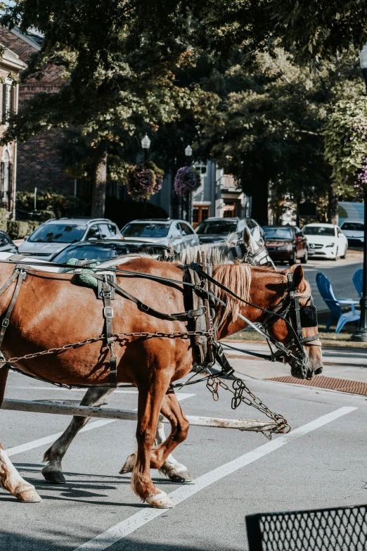 a couple of horses are pulling a carriage through the streets