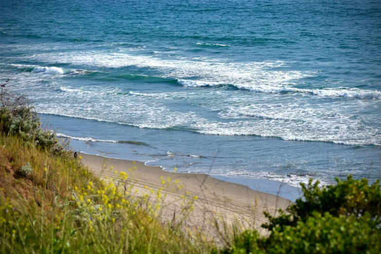 an empty sandy beach with the ocean and grass on either side