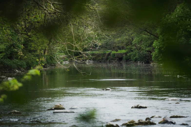 a man riding a horse across a river