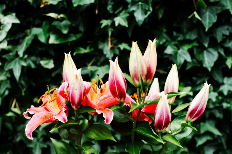 a bunch of pink and yellow flowers in a green vase