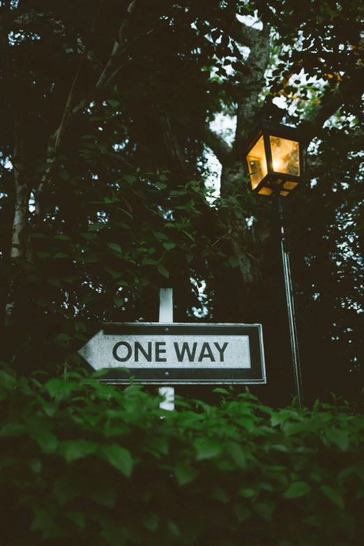 a one way sign and a street light at an intersection