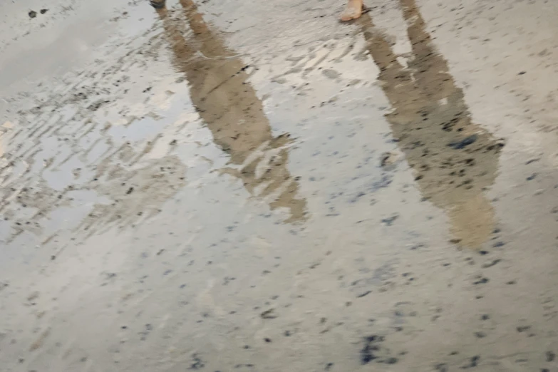 two people walking in the rain with their umbrellas