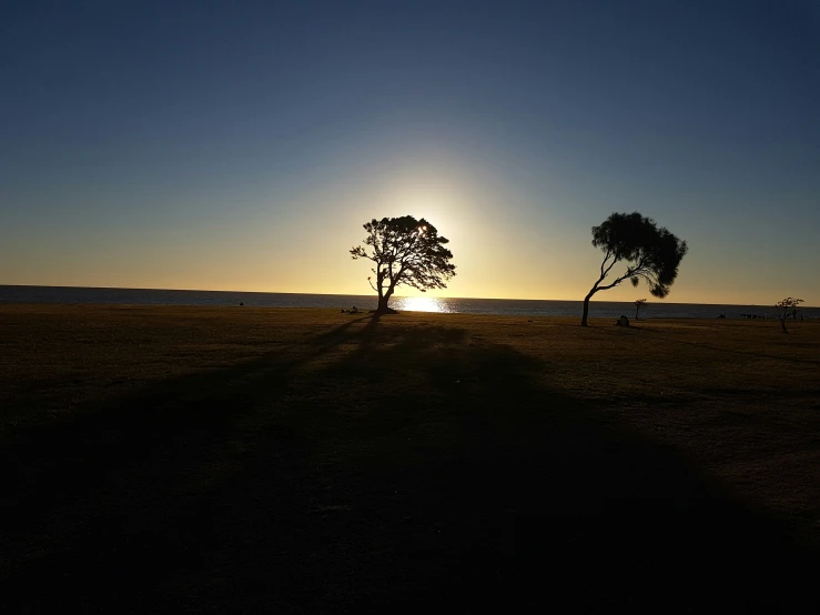 a lone tree is on the field next to a road