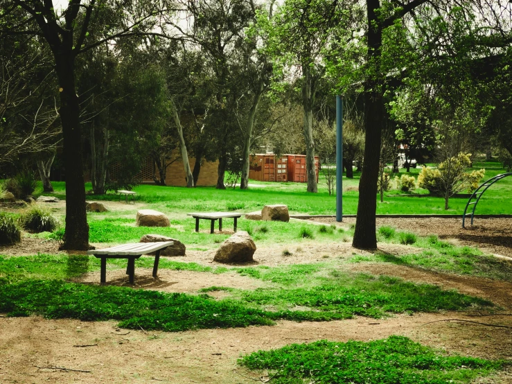 a bench is in a green park area