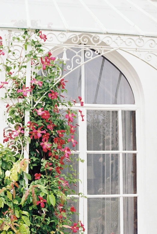 a window frame with flowers in it next to the window