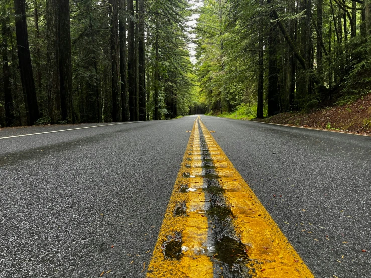 a yellow painted road in the middle of trees