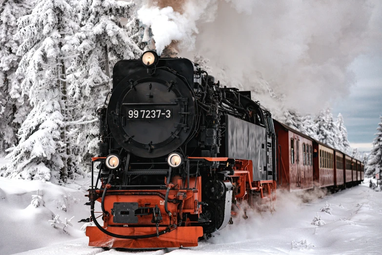 train moving through snow covered trees and bushes