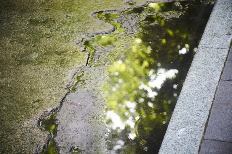 a close up view of a street and sidewalk reflecting the water