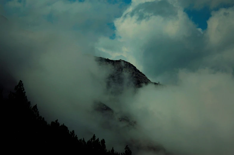 a very tall mountain surrounded by a forest