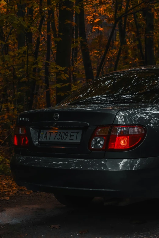 car parked in driveway near wooded area during autumn