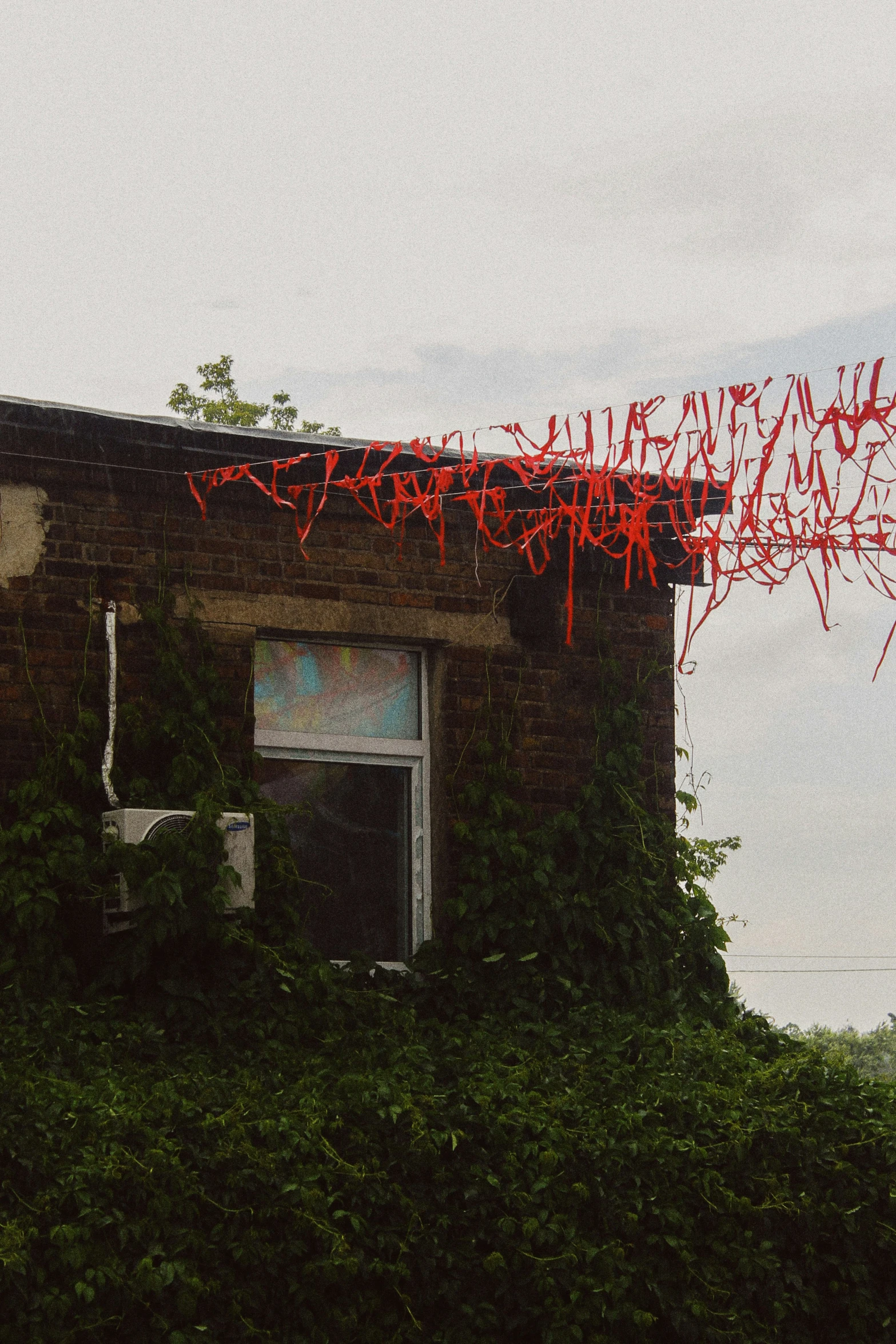 a run down building with plants growing on the roof