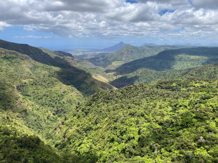 a hilly landscape with lots of green trees