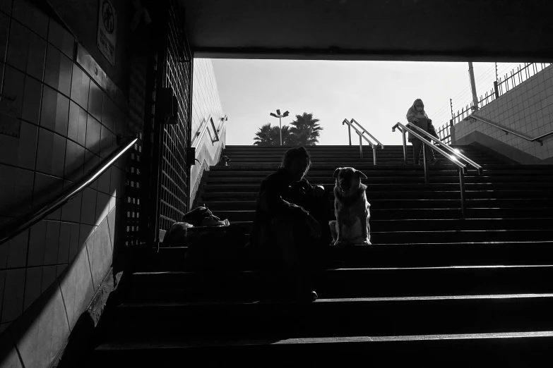 a person is walking down some steps with their dog