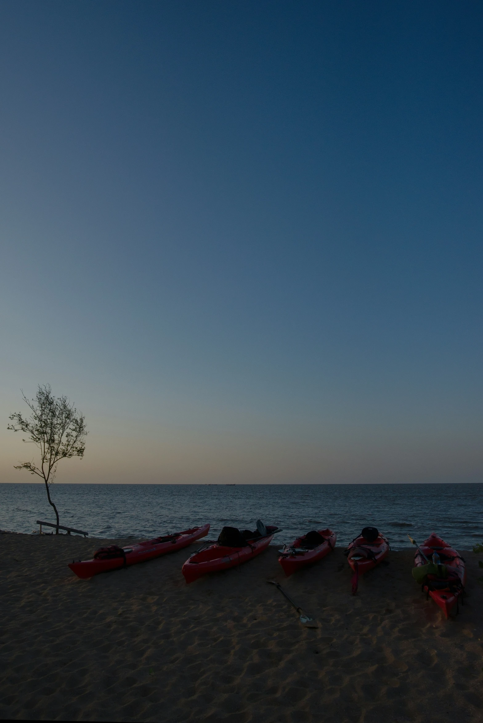 the surfboards are lined up on the beach