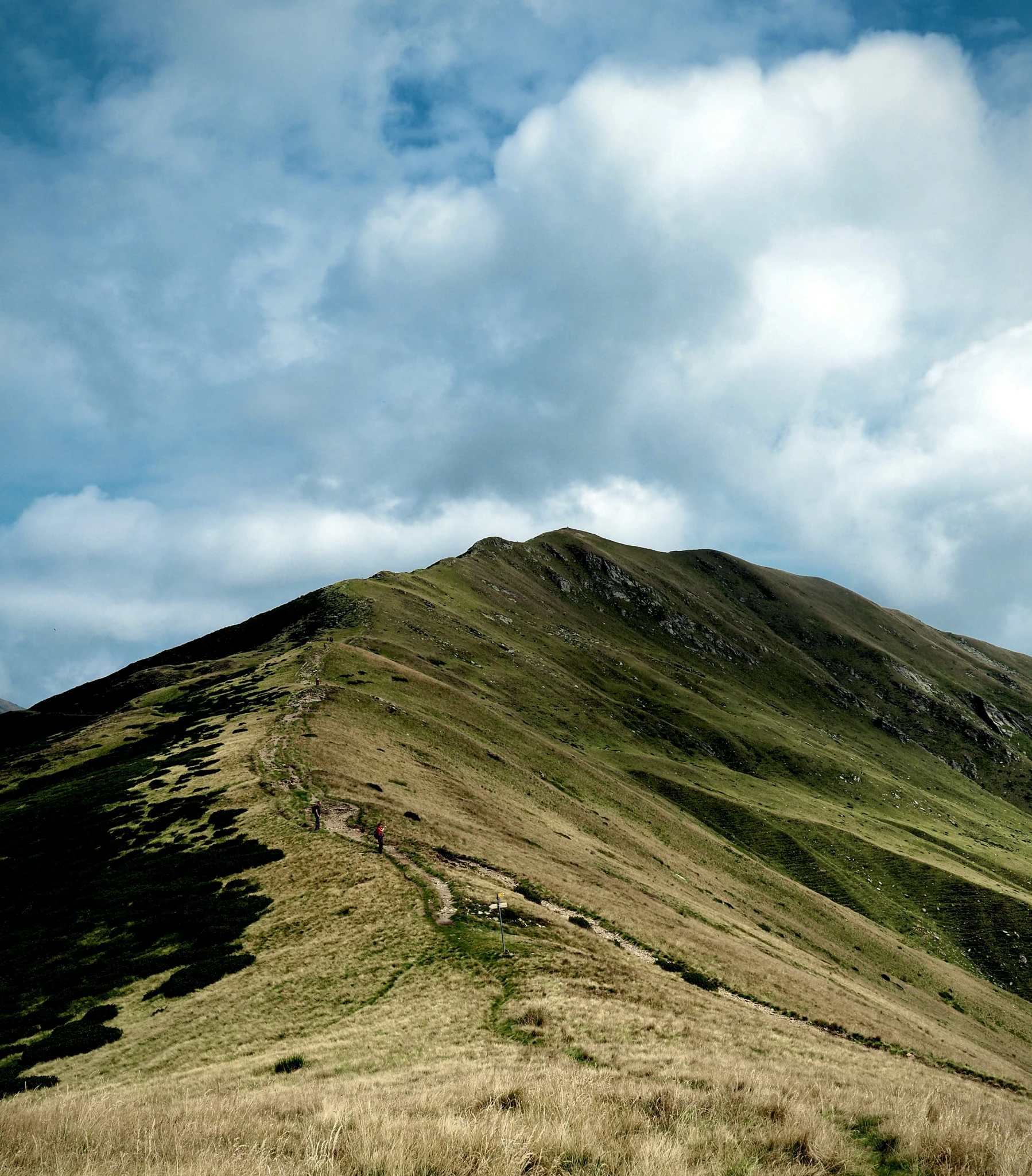 a mountain with an area of grass and patches of flowers